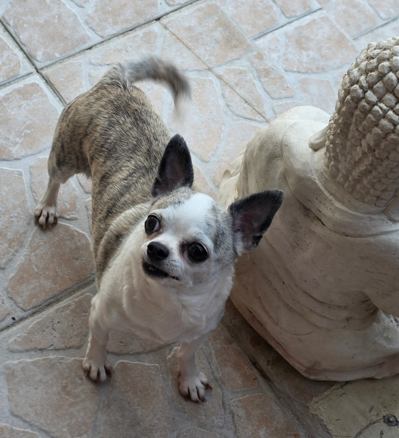 Nutsy Du Coeur Des Ténèbres